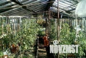 Дача 40м², 2-этажный, участок 5 сот.  
