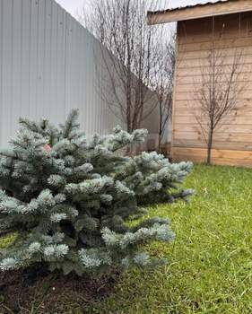 Дом 75м², 1-этажный, участок 6 сот.  