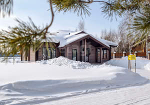 Дом 180м&sup2;, 1-этажный, участок 29 сот.  