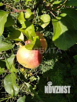 Дом 50м&sup2;, 2-этажный, участок 15 сот.  