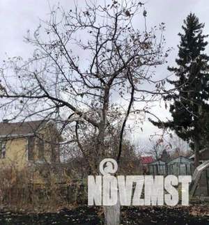 Дача 12м², 1-этажный, участок 7 сот.  