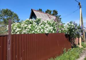 Дом 50м&sup2;, 2-этажный, участок 665 сот.  