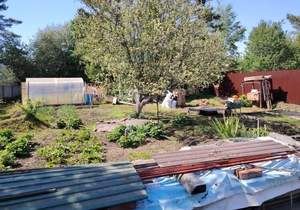 Дом 50м&sup2;, 2-этажный, участок 665 сот.  