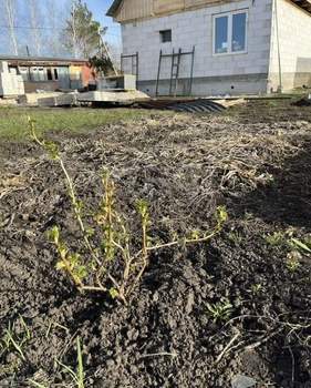 Дом 56м&sup2;, 2-этажный, участок 5 сот.  