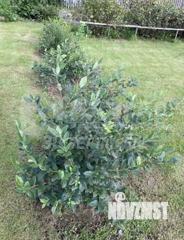 Дом 63м&sup2;, 1-этажный, участок 12 сот.  