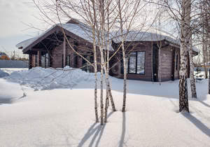 Дом 180м&sup2;, 1-этажный, участок 29 сот.  