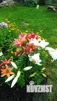 Дом 38м&sup2;, 1-этажный, участок 5 сот.  