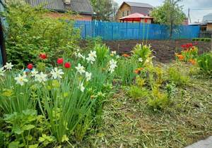 Дом 18м&sup2;, 1-этажный, участок 4 сот.  