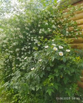 Дом 40м², 2-этажный, участок 0 сот.  