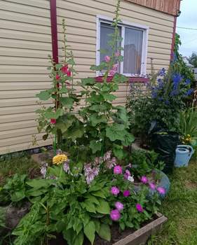 Дом 30м², 2-этажный, участок 4 сот.  