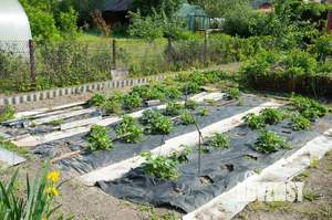 Дом 30м², 1-этажный, участок 10 сот.  