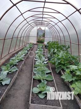 Дом 50м&sup2;, 2-этажный, участок 15 сот.  