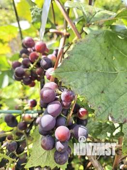 Дом 64м&sup2;, 2-этажный, участок 11 сот.  