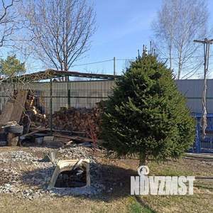 Дом 95м&sup2;, 1-этажный, участок 11 сот.  