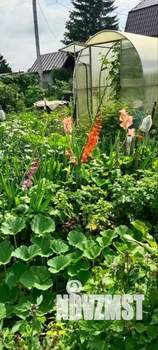 Дом 20м², 1-этажный, участок 5 сот.  