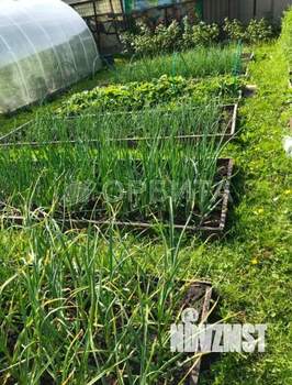 Дом 12м&sup2;, 2-этажный, участок 5 сот.  