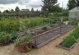 Дом 35м², 1-этажный, участок 10 сот.  