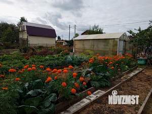 Дом 19м&sup2;, 1-этажный, участок 8 сот.  