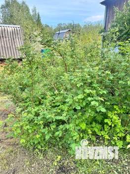 Дача 70м², 2-этажный, участок 8 сот.  