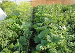 Дом 21м&sup2;, 2-этажный, участок 9 сот.  