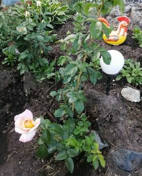 Дом 40м², 2-этажный, участок 6 сот.  