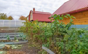 Дом 49м&sup2;, 2-этажный, участок 545 сот.  