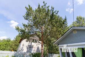 Дом 42м², 1-этажный, участок 3 сот.  