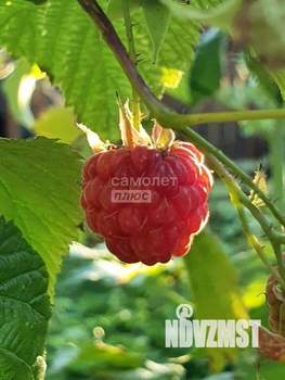 Дача 60м², 2-этажный, участок 6 сот.  