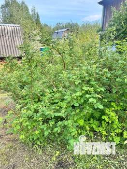 Дом 70м², 2-этажный, участок 8 сот.  