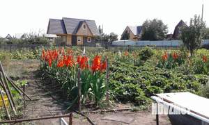 Дом 39м&sup2;, 2-этажный, участок 12 сот.  