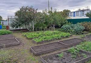 Дом 49м², 2-этажный, участок 5 сот.  