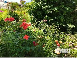 Дом 28м&sup2;, 1-этажный, участок 8 сот.  