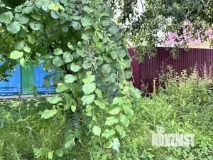 Дом 50м&sup2;, 1-этажный, участок 4 сот.  