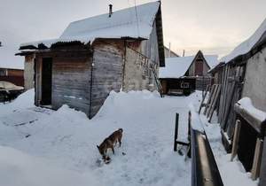 Дом 48м&sup2;, 1-этажный, участок 4 сот.  