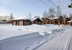 Дом 180м&sup2;, 1-этажный, участок 29 сот.  