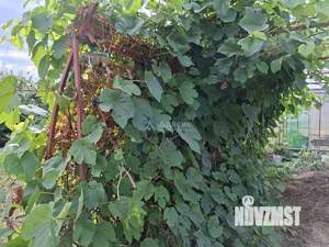 Дом 49м&sup2;, 1-этажный, участок 16 сот.  