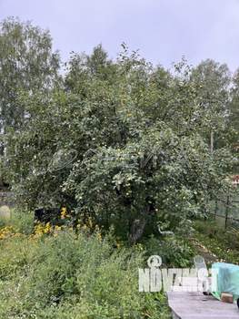 Дача 40м², 2-этажный, участок 7 сот.  