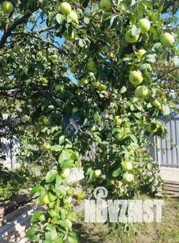 Дом 27м&sup2;, 1-этажный, участок 5 сот.  