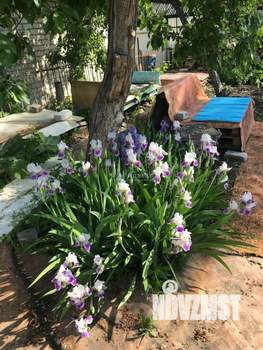 Дача 20м², 1-этажный, участок 4 сот.  