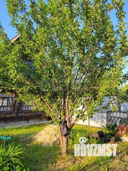 Дом 20м&sup2;, 1-этажный, участок 5 сот.  