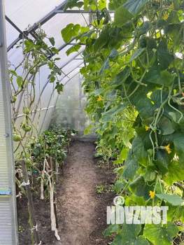 Дом 31м&sup2;, 1-этажный, участок 4 сот.  