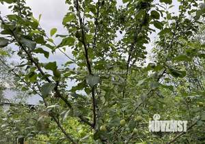 Дача 45м², 1-этажный, участок 5 сот.  