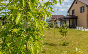 Дом 96м&sup2;, 2-этажный, участок 10 сот.  