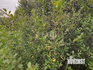 Дом 104м², 1-этажный, участок 8 сот.  