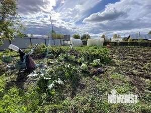 Дача 18м², 1-этажный, участок 10 сот.  