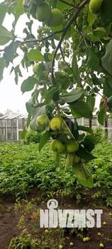 Дом 251м&sup2;, 2-этажный, участок 10 сот.  