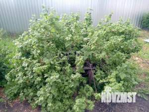 Дом 18м², 2-этажный, участок 10 сот.  