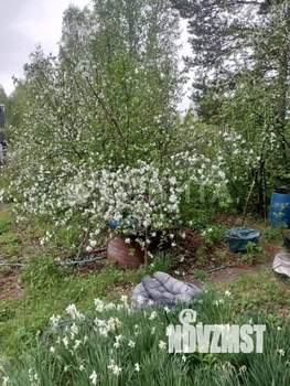 Дом 35м², 2-этажный, участок 11 сот.  