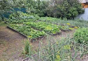 Дом 49м², 2-этажный, участок 5 сот.  