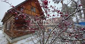 Дача 40м², 1-этажный, участок 8 сот.  